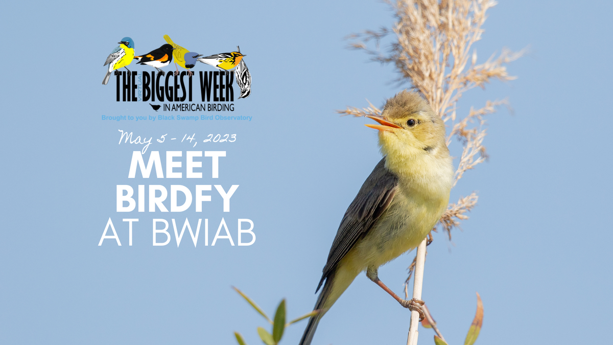 Join Birdfy at The Biggest Week in American Birding netvue