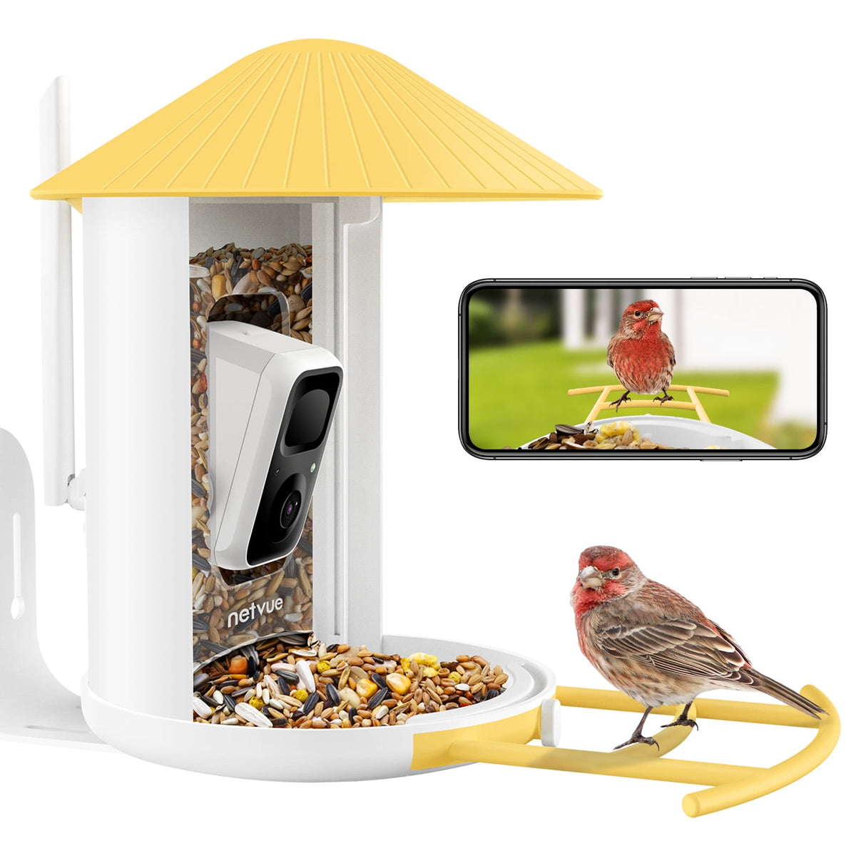 Bird Feeder Camera Outdoor Feeder Bird, Netvue Birdfy Bird