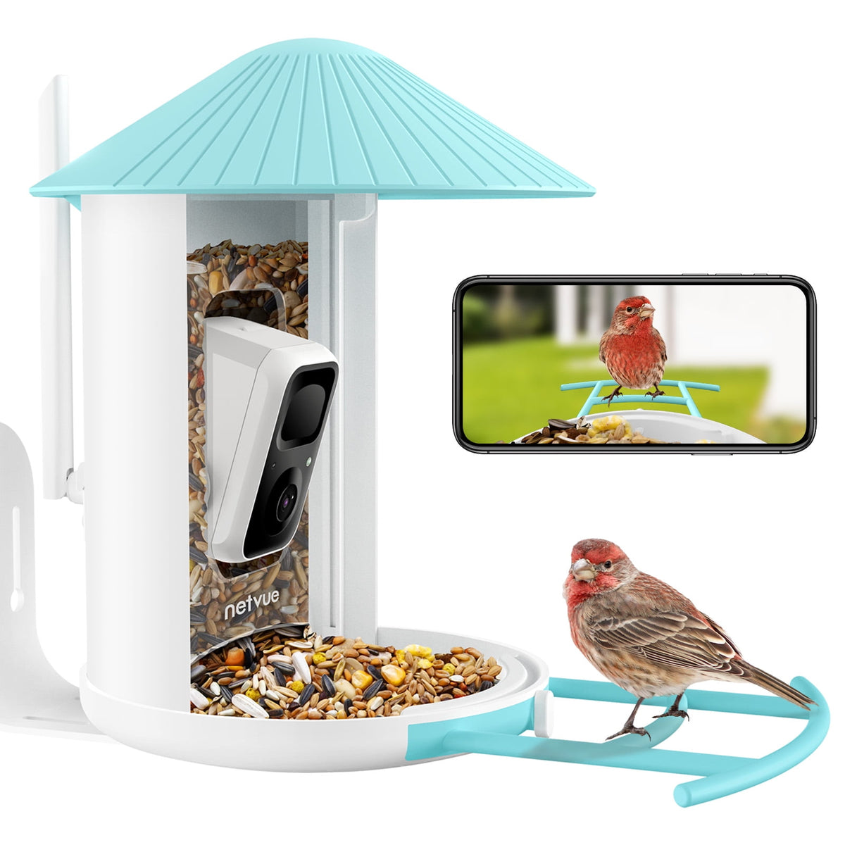Bird Feeder with Camera, Netvue Birdfy Bird Feeders （lite） - netvue