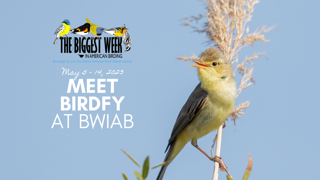 Join Birdfy at The Biggest Week in American Birding