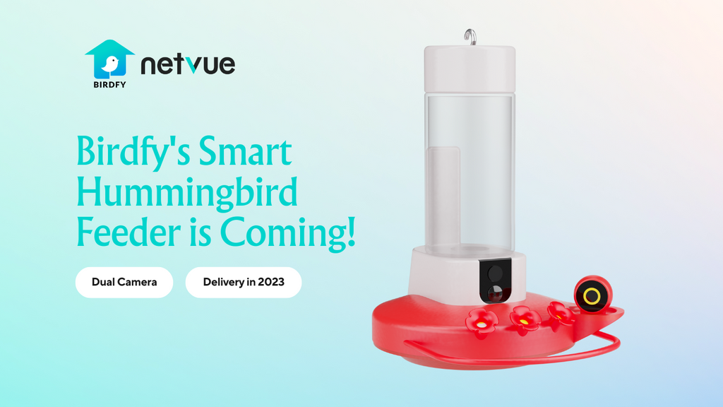 Birdfy News: Netvue Launches Revolutionary Dual Camera Hummingbird Feeder to Join Birdfy Series