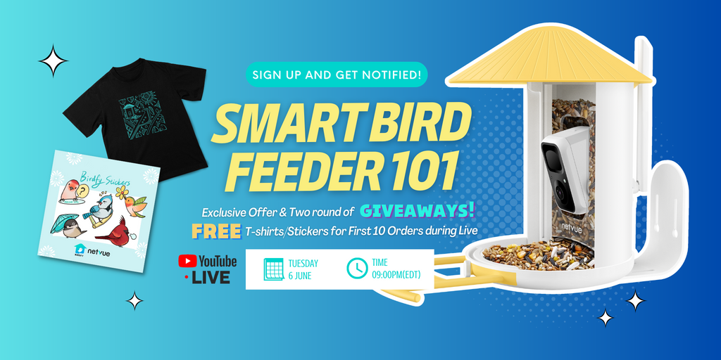Birdfy Smart Bird Feeder 101: The Recap of Netvue's First Live Stream Event
