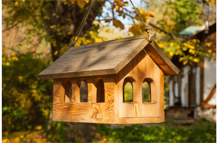 Witness the Sustainable Ecological Journey of Bamboo Bird Feeders
