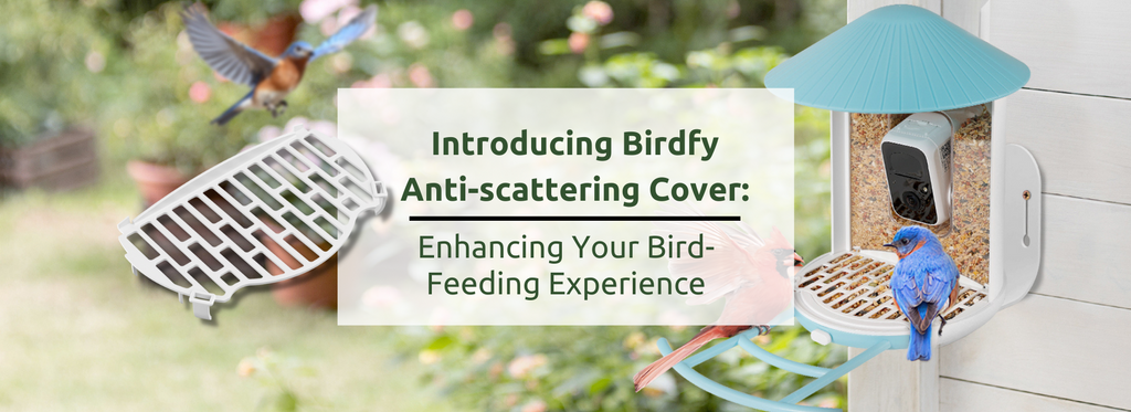 Introducing Birdfy Anti-scattering Cover: Enhancing Your Bird-Feeding Experience