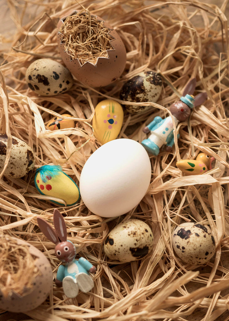 Connecting Easter and Birds: Celebrate with Fun and Festive Bird Feeding Activities