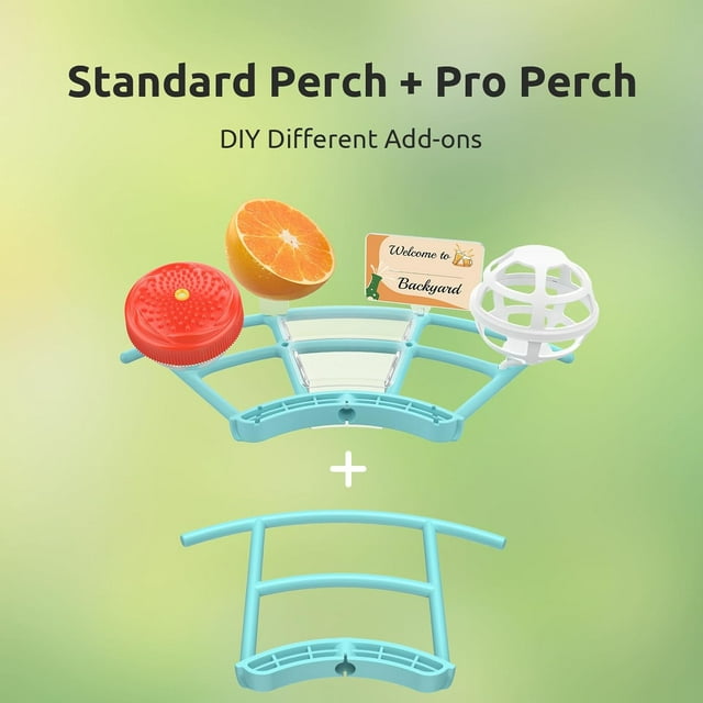 Netvue Bird feeder Birdfy Lite Pro+Solar