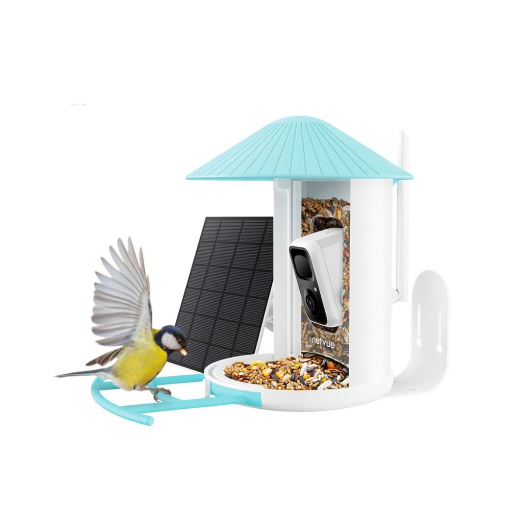 Birdfy Feeder Lite with Solar Panel
