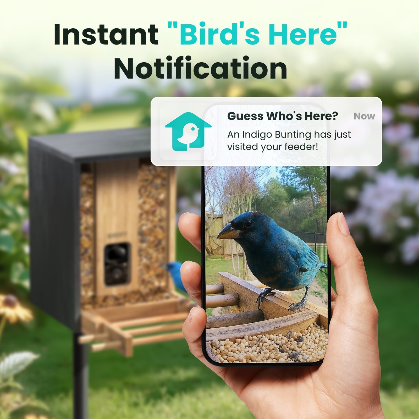 Smart Bamboo Bird Feeder with Camera (Free AI)