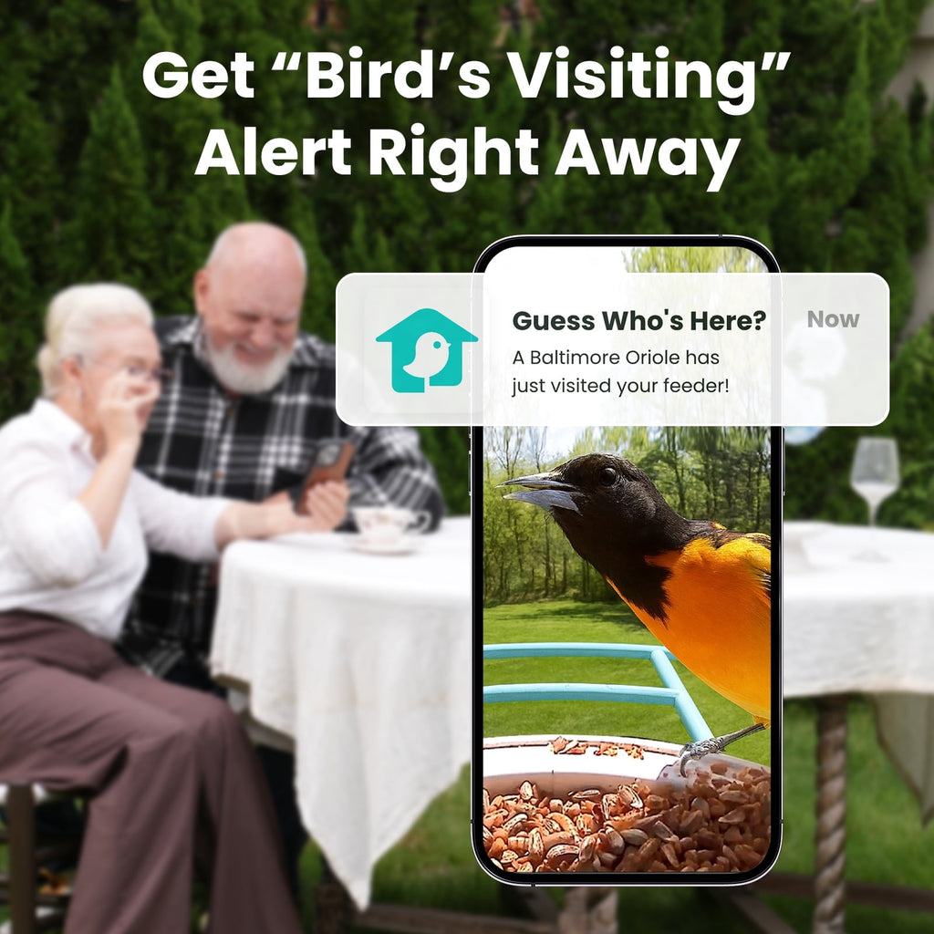 Netvue Birdfy Smart Bird Feeder with Free AI for Bird Watching – netvue