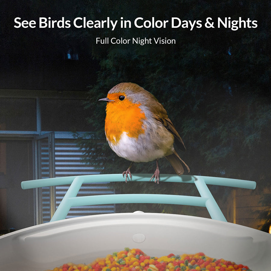 Birdfy Feeder Lite with Solar Panel