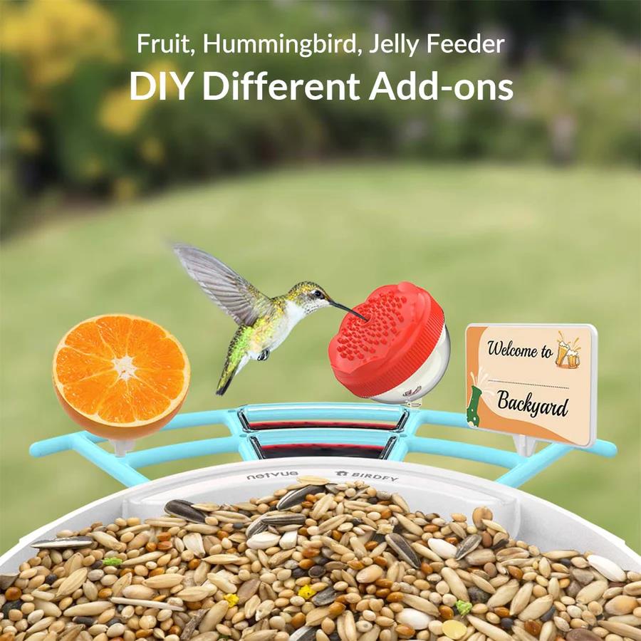 Netvue Birdfy Feeder with Pro Perch Set