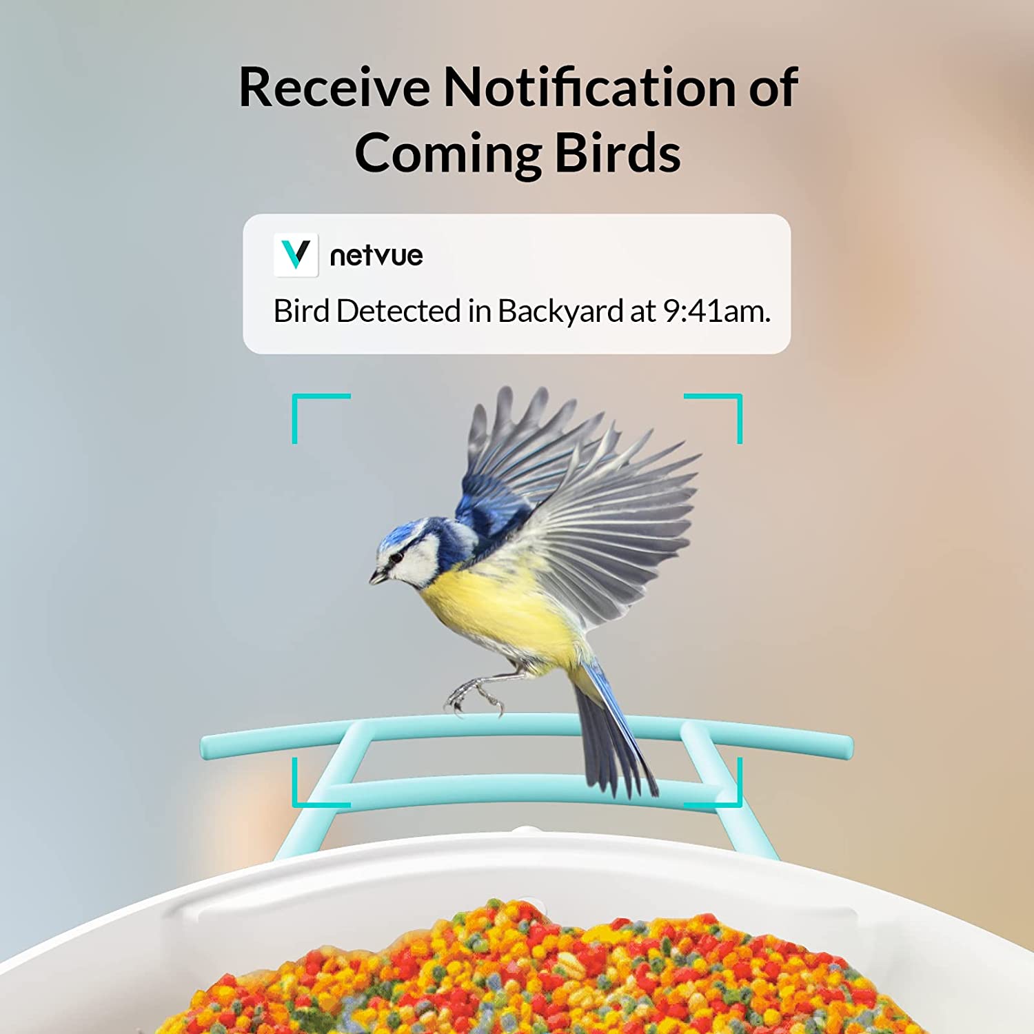 Birdfy Feeder Lite Motion Detection Bird Feeder Camera
