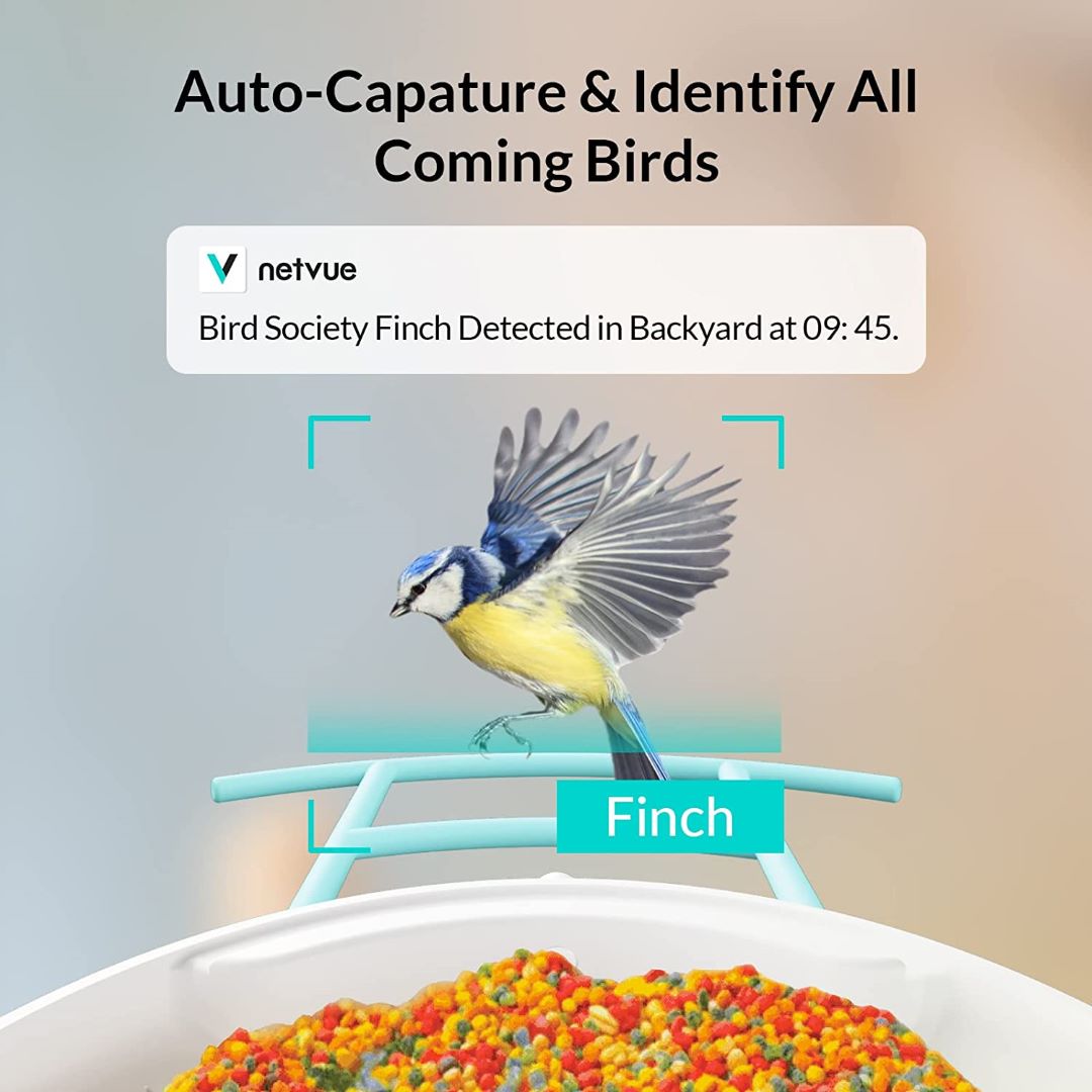 Netvue Birdfy Feeder AI with Solar Panel