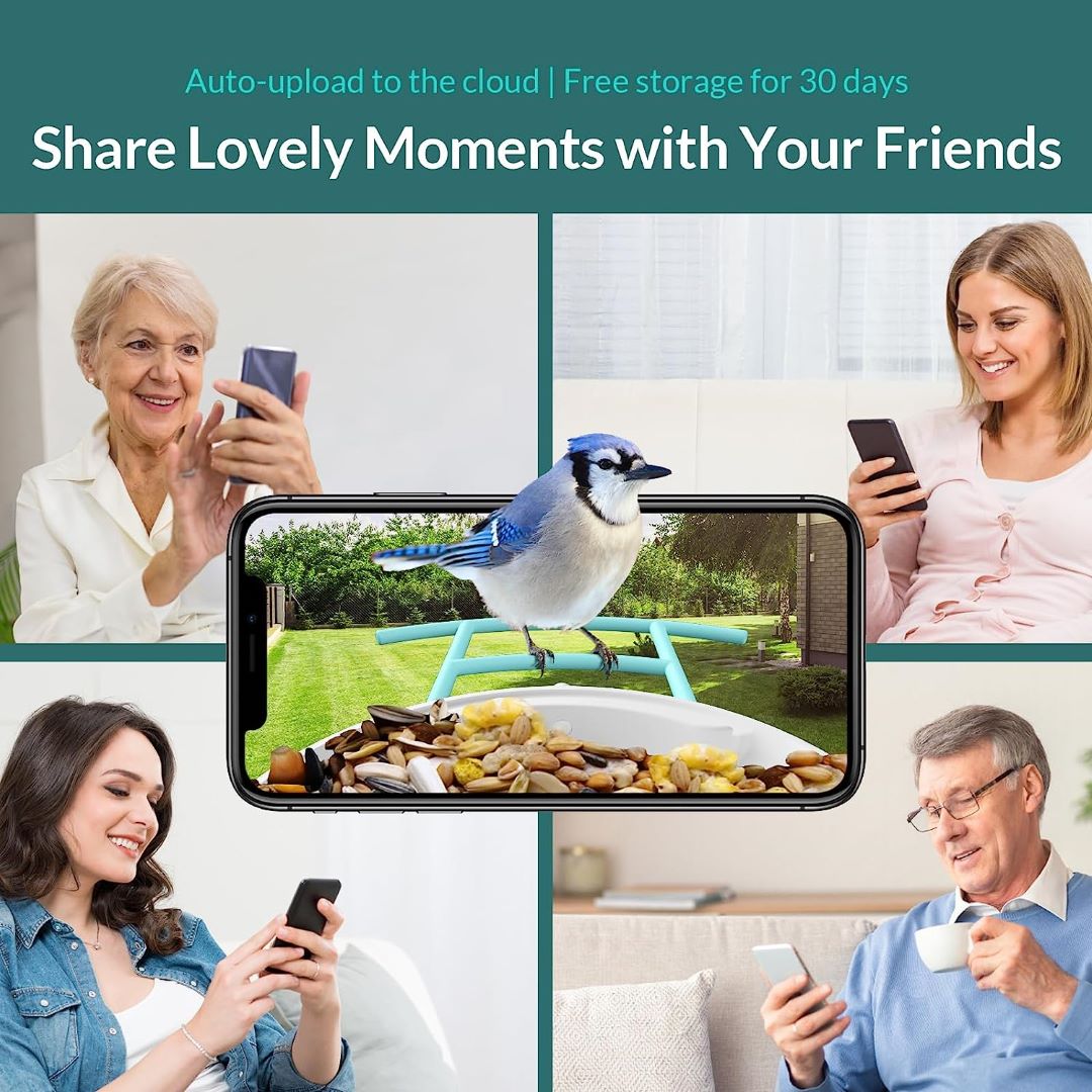 Netvue Birdfy Feeder AI with Solar Panel