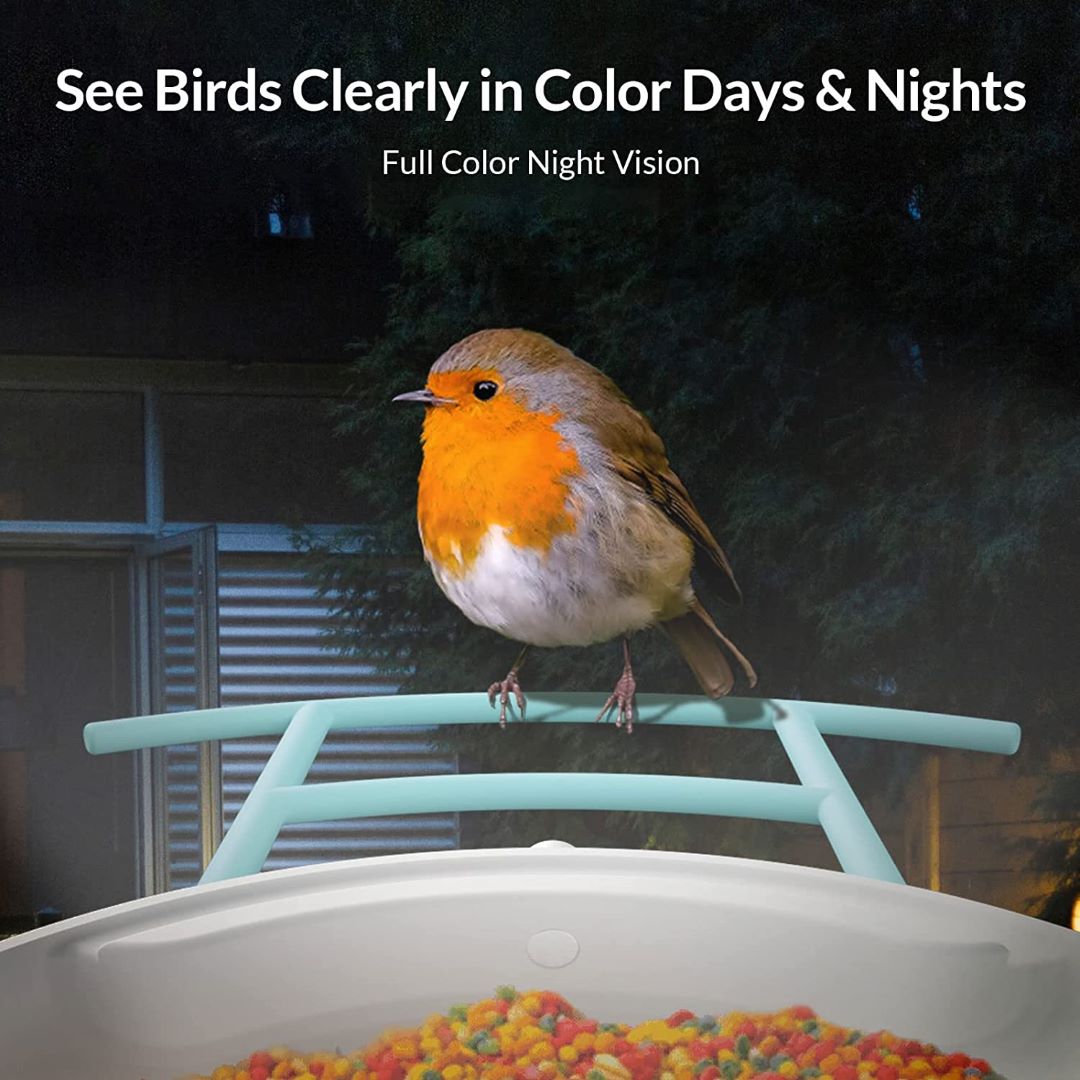 Netvue Birdfy Feeder with Solar Panel