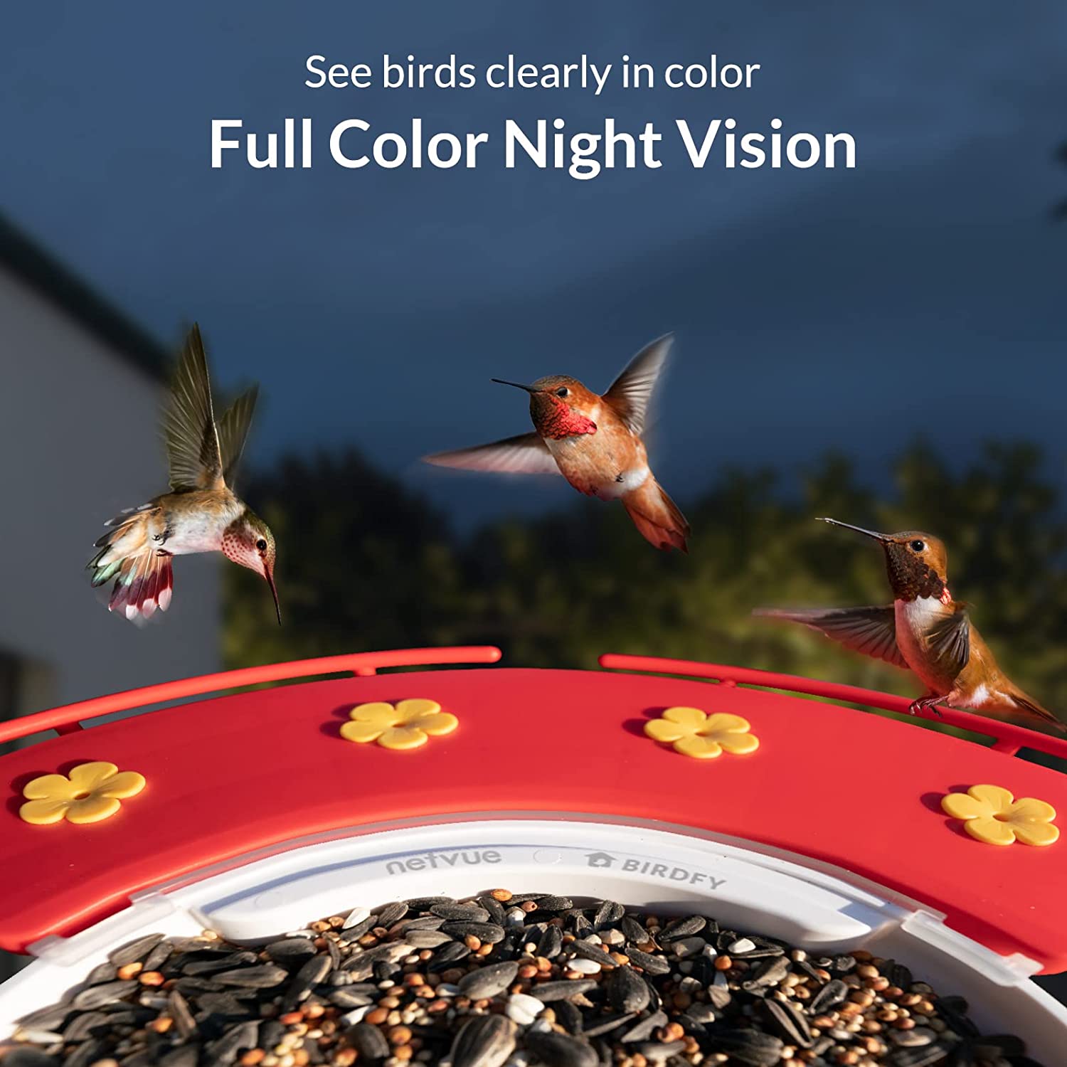 Netvue Birdfy Feeder with Hummee Set