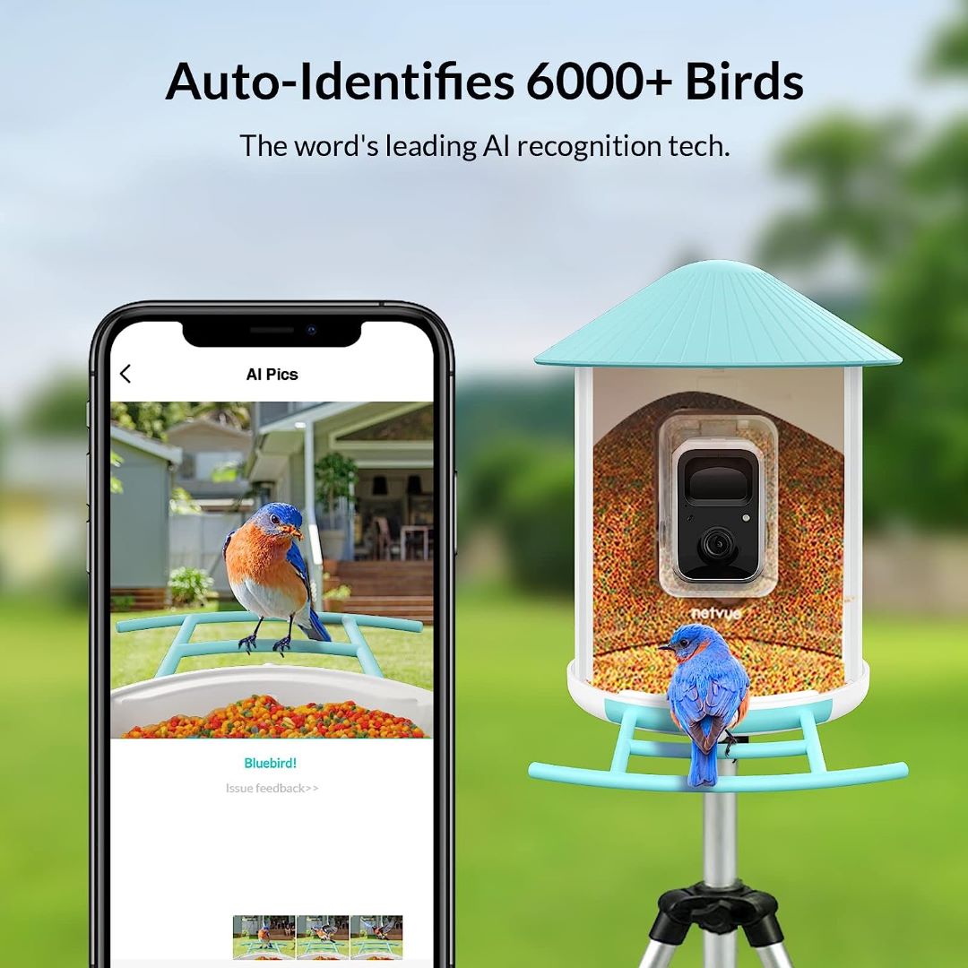 Netvue Birdfy Feeder AI with Solar Panel