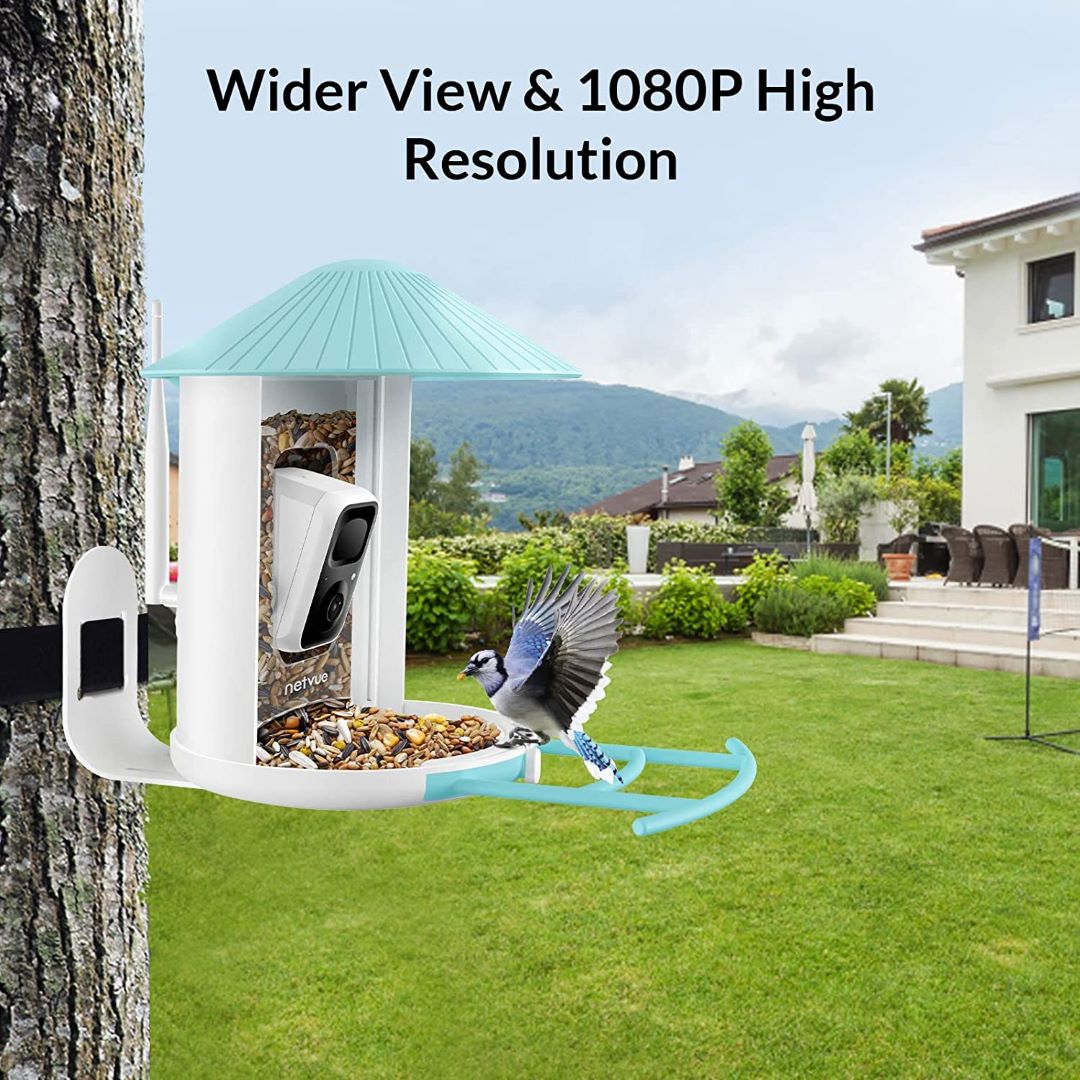 Netvue Birdfy Feeder with Solar Panel