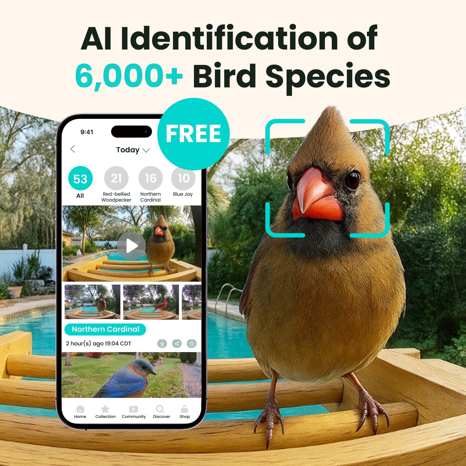 Smart Bamboo Bird Feeder with Camera (Free AI)