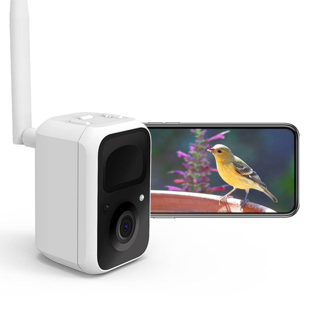 Bird Buddy Camera Module Birdfy Camera Smart Bird Camera for Wild Bird Watching and Recording ...