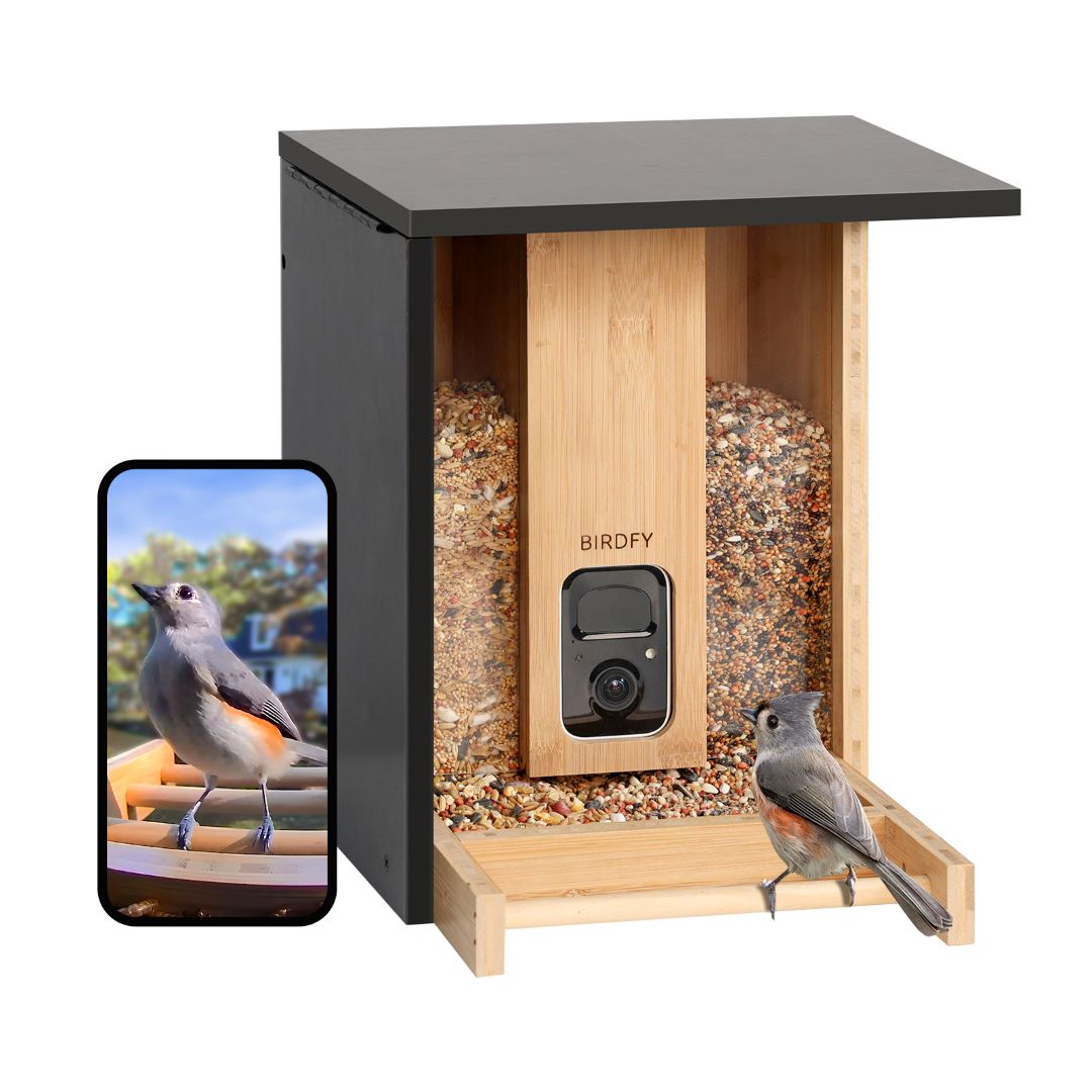 Birdfy Feeder Bamboo - Upgraded Smart Bird Feeder for Your Backyard