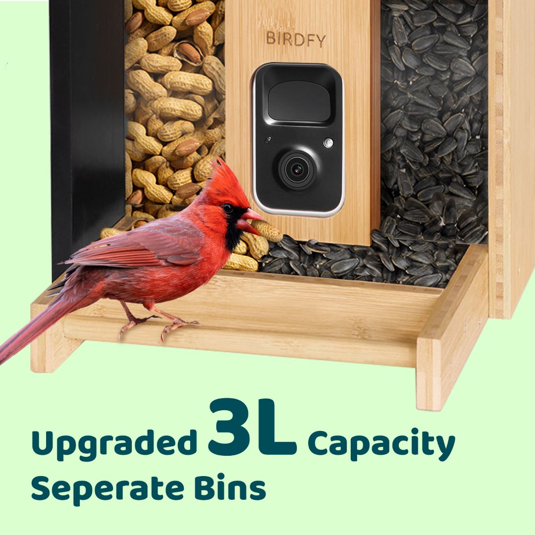 Birdfy Feeder Bamboo - Upgraded Smart Bird Feeder for Your Backyard