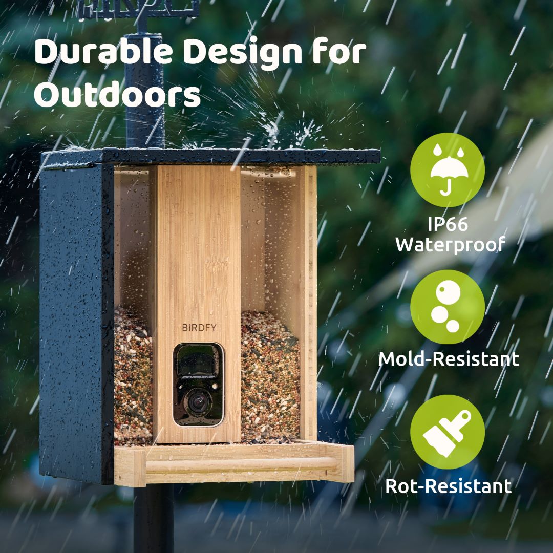 Birdfy Feeder Bamboo - Bamboo Wood Bird Feeder Camera – netvue