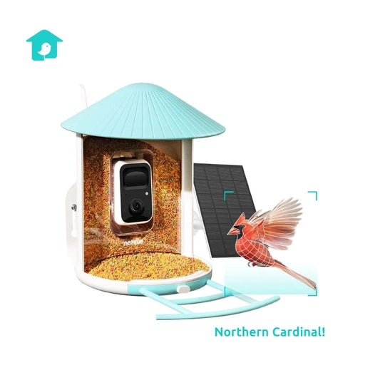 Netvue Birdfy Feeder AI with Solar Panel
