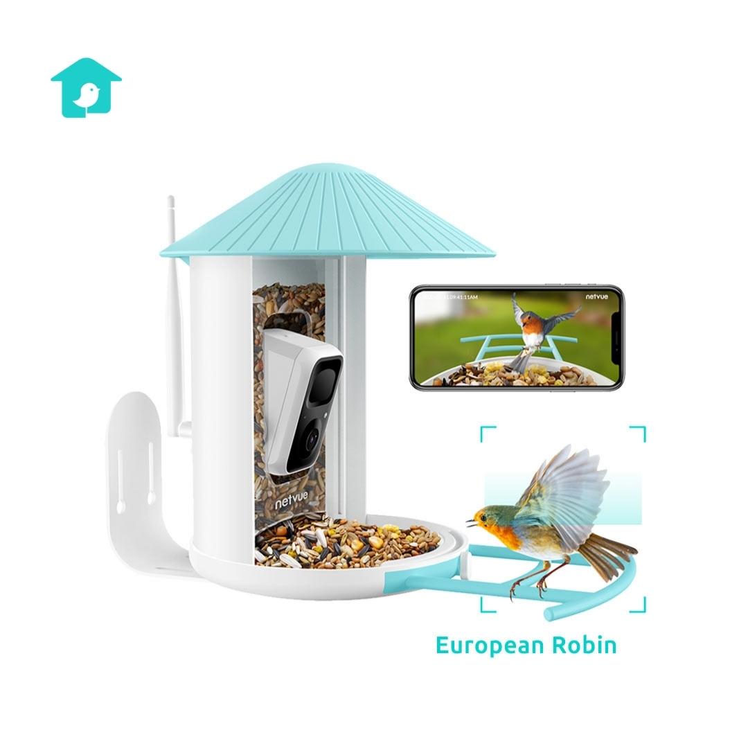 Netvue Birdfy Feeder Feed, Watch and Record Birds with One Device