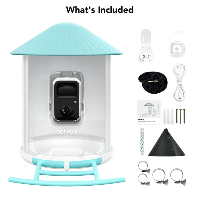 Netvue Birdfy Smart AI Bird Feeder Review: Tweetest Feeder in Town Netvue Birdfy Smart AI Bird Feeder Review: Tweetest Feeder in Town