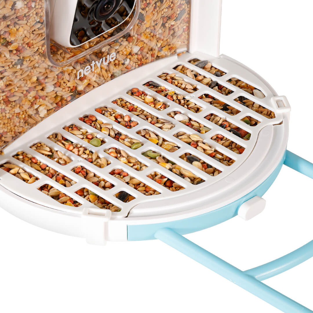 Birdfy Feeder with Seed Guard Set