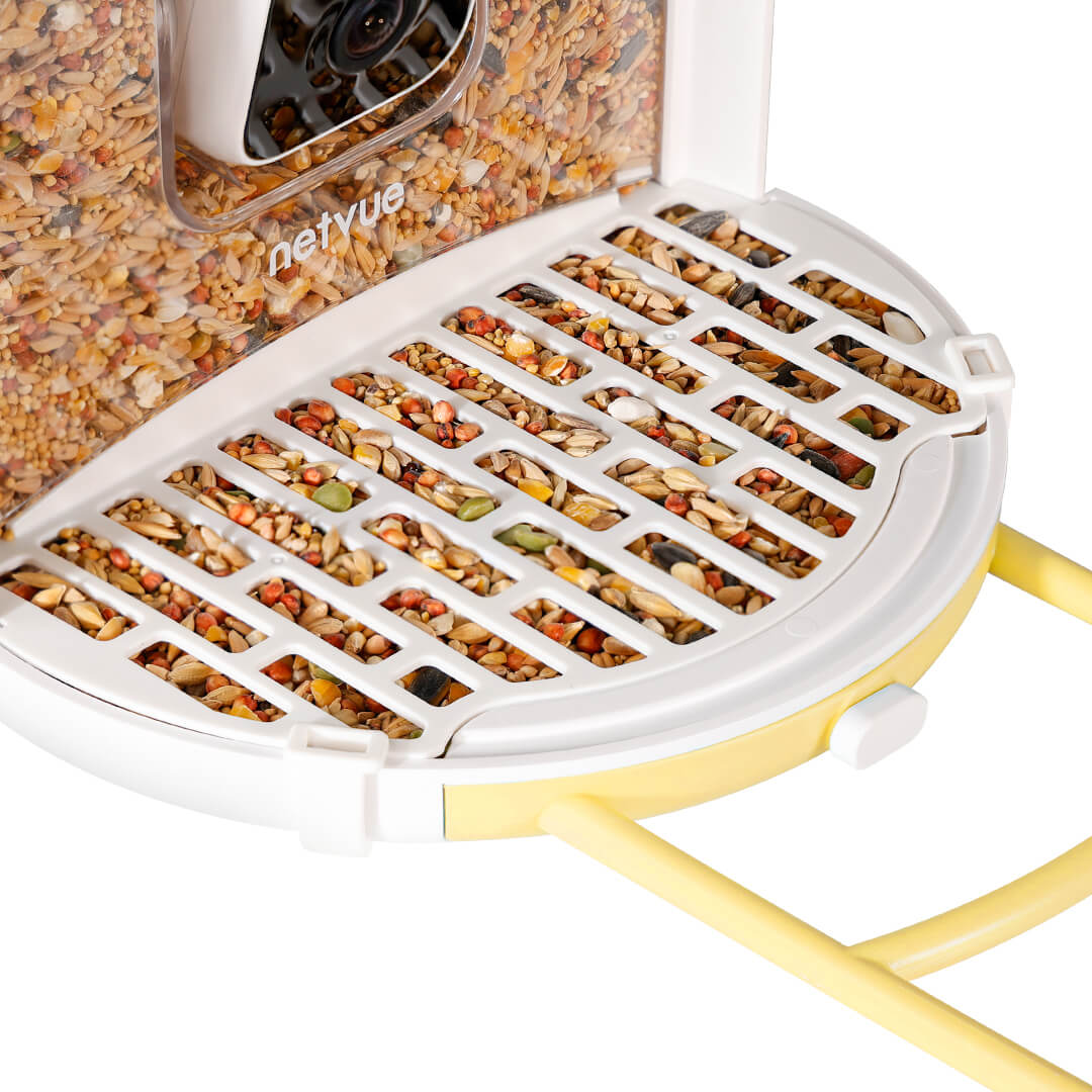 Birdfy Feeder with Seed Guard Set