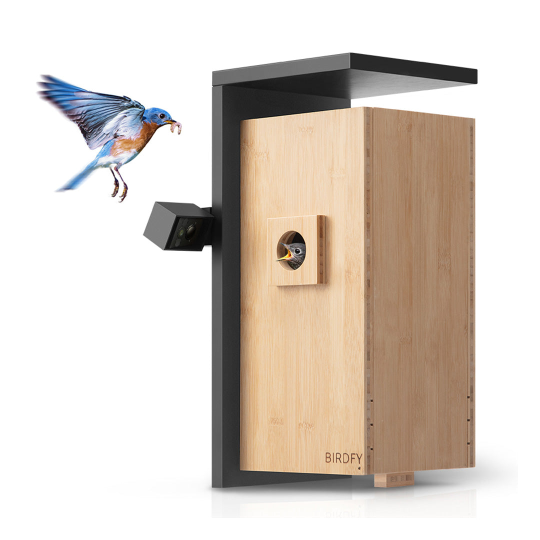[Pre-order] Birdfy Nest - Dual Camera Smart Bird House