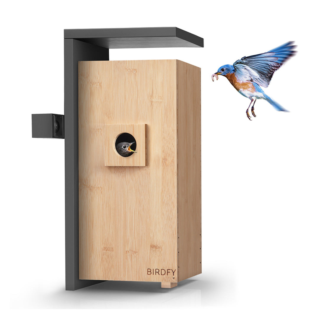 [Pre-order] Birdfy Nest - Dual Camera Smart Bird House