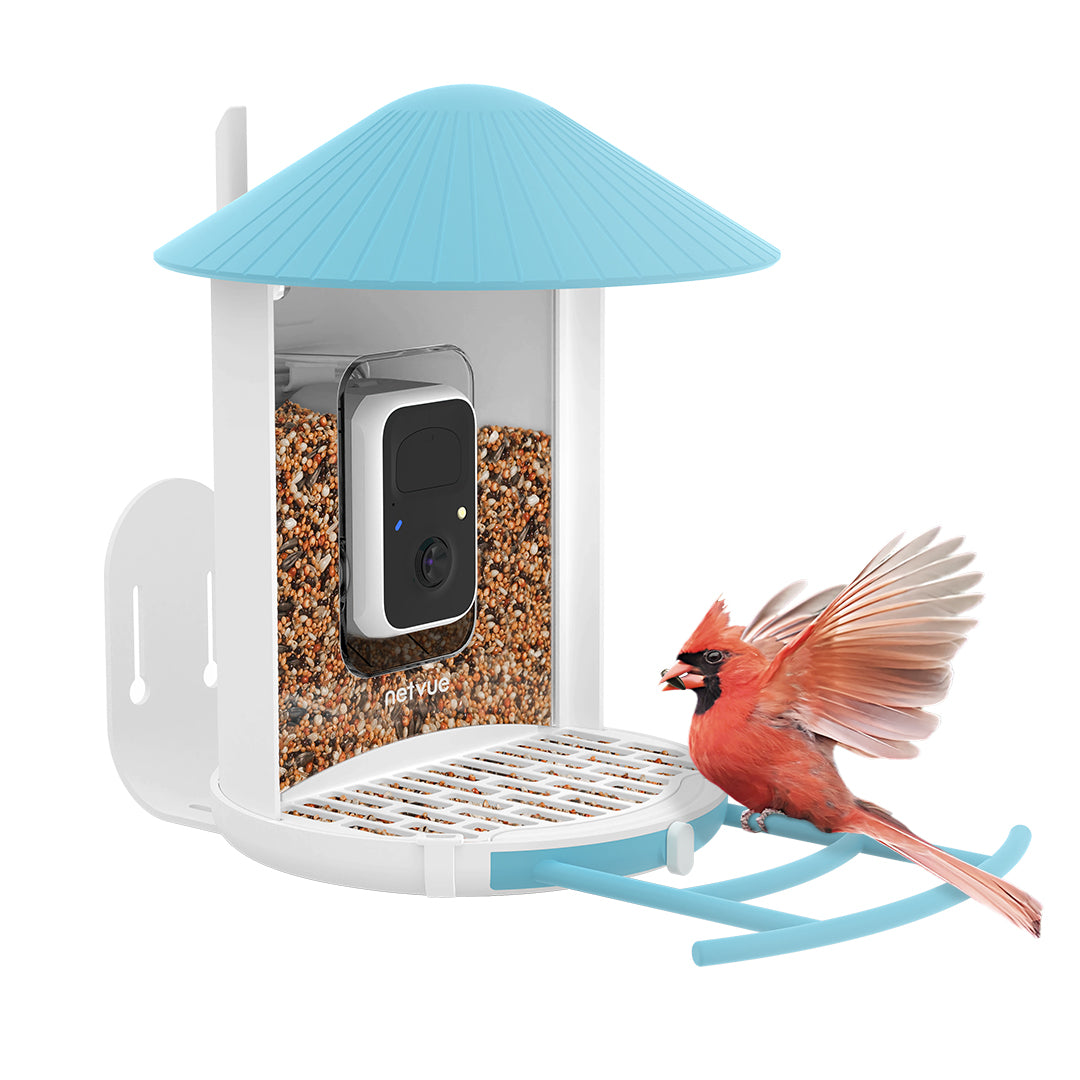 Birdfy Feeder with Seed Guard Set