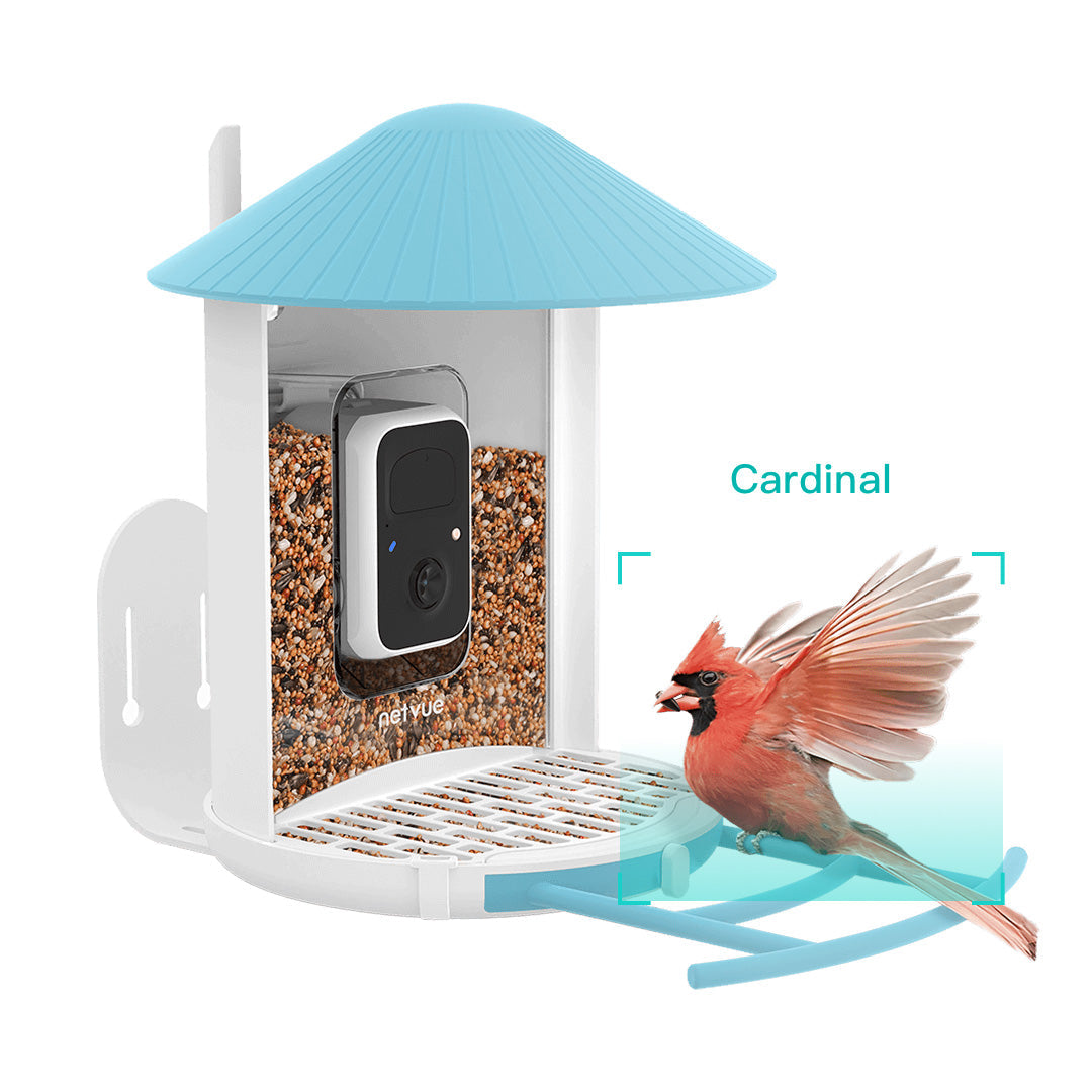 Birdfy Feeder with Anti-scattering Cover