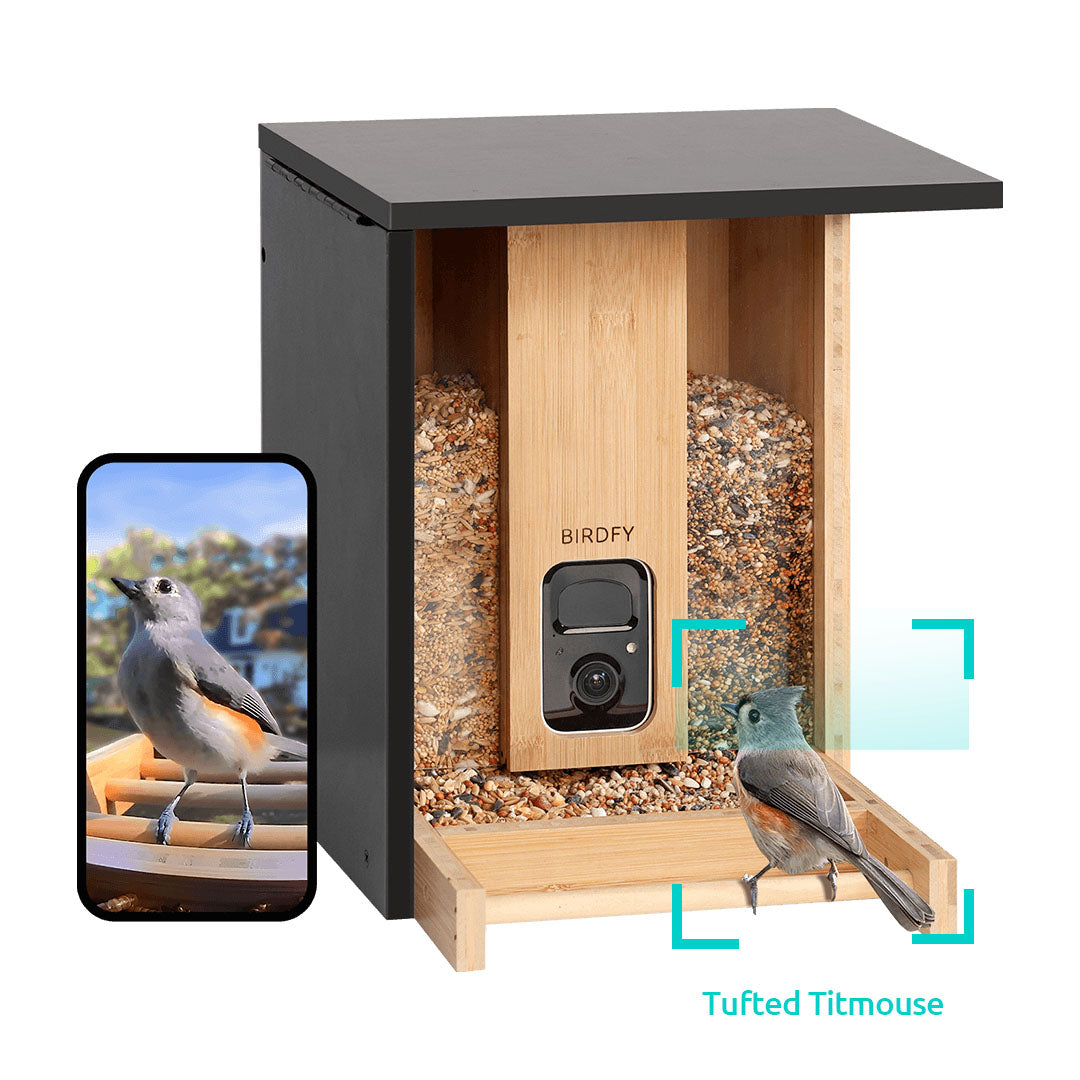 Birdfy Feeder Bamboo - Upgraded Smart Bird Feeder for Your Backyard