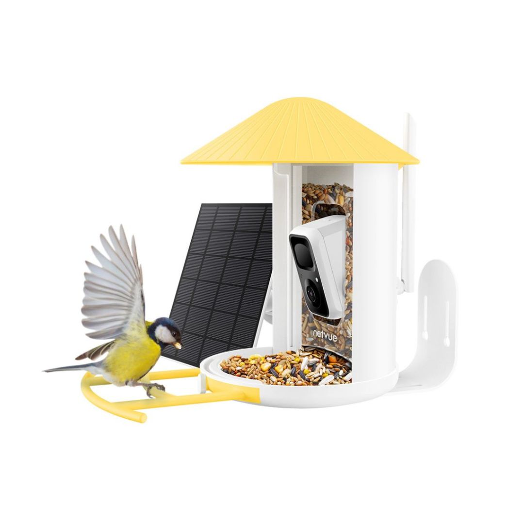 Netvue Birdfy Feeder with Solar Panel