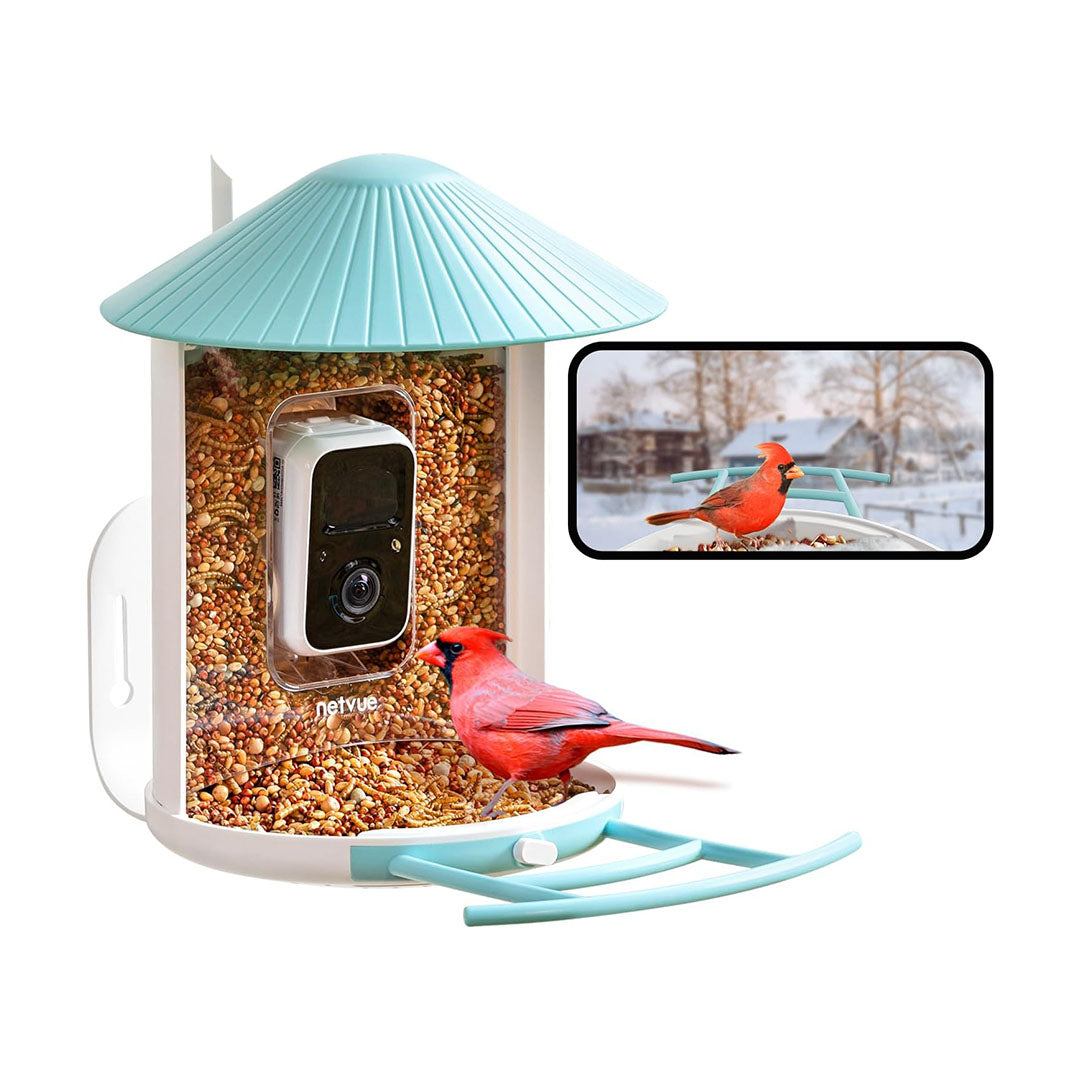 Netvue Birdfy Feeder - Feed, Watch and Record Birds with One Device