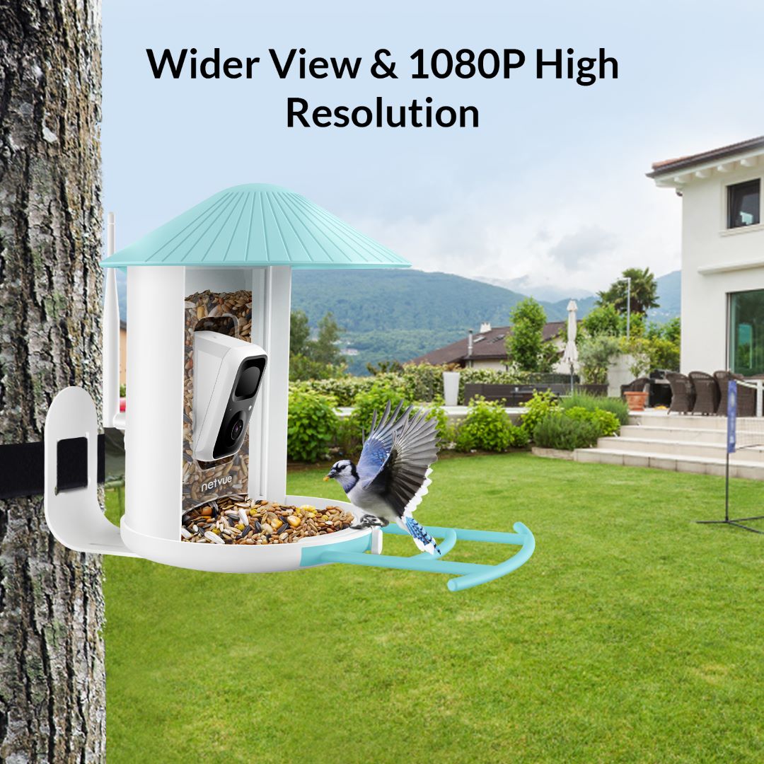 Netvue Birdfy Feeder - Feed, Watch and Record Birds with One Device
