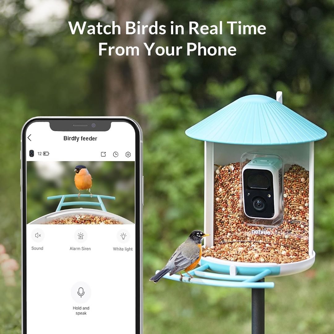 Netvue Birdfy Feeder - Feed, Watch and Record Birds with One Device