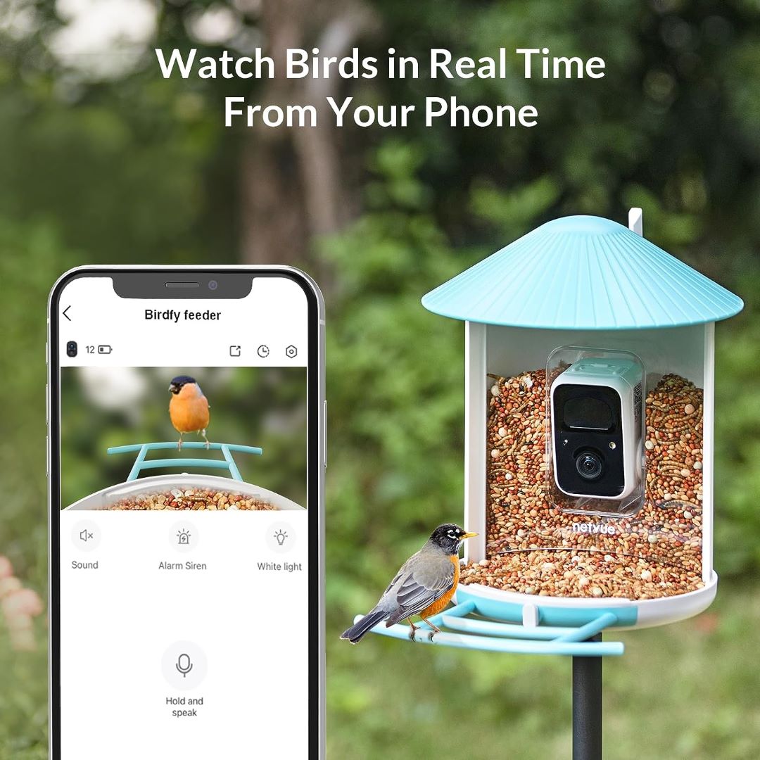 Bird Feeder Camera | Baby Monitor and Home Security Camera – netvue