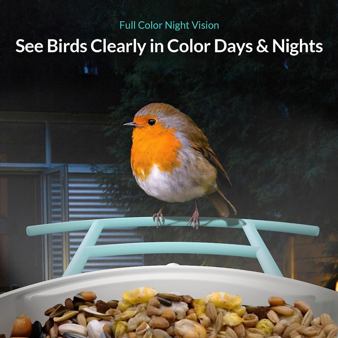 Netvue Birdfy Feeder - Feed, Watch and Record Birds with One Device