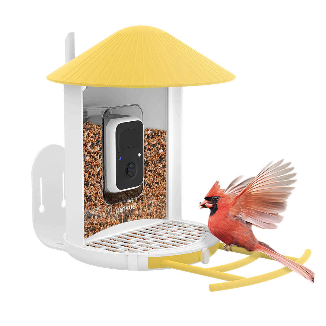 Birdfy Feeder with Seed Guard Set