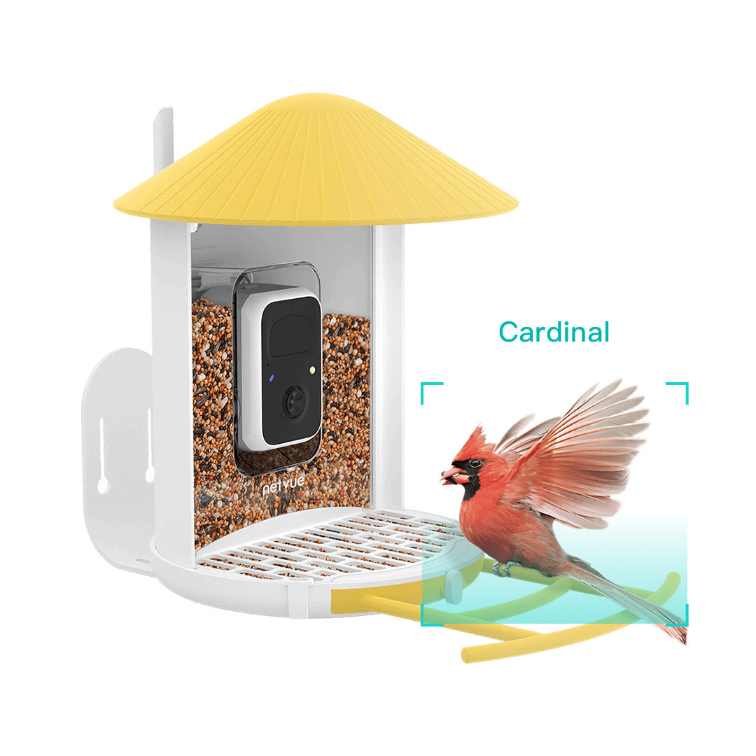 Birdfy Feeder with Seed Guard Set