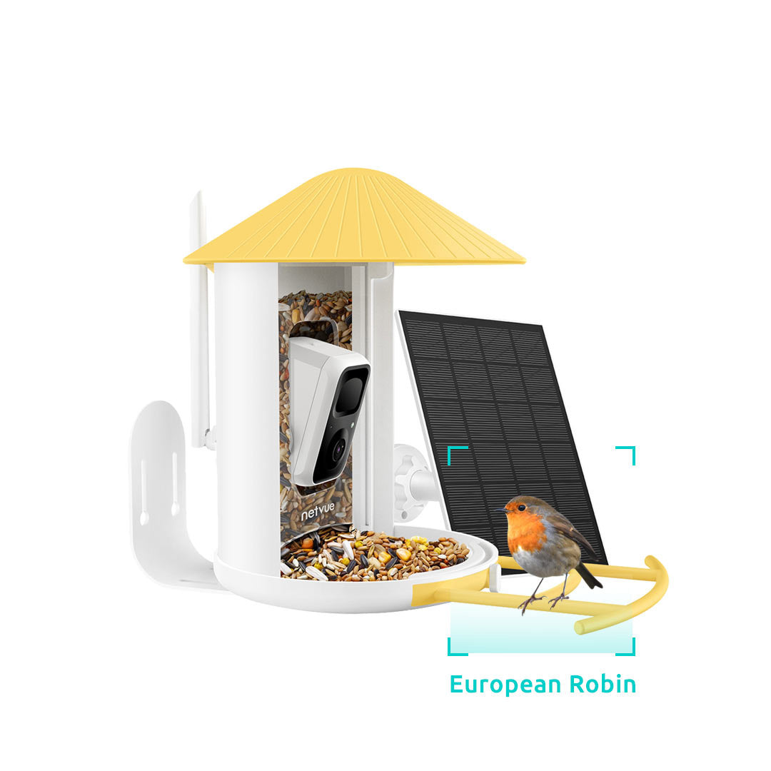 Netvue Birdfy Feeder with Solar Panel