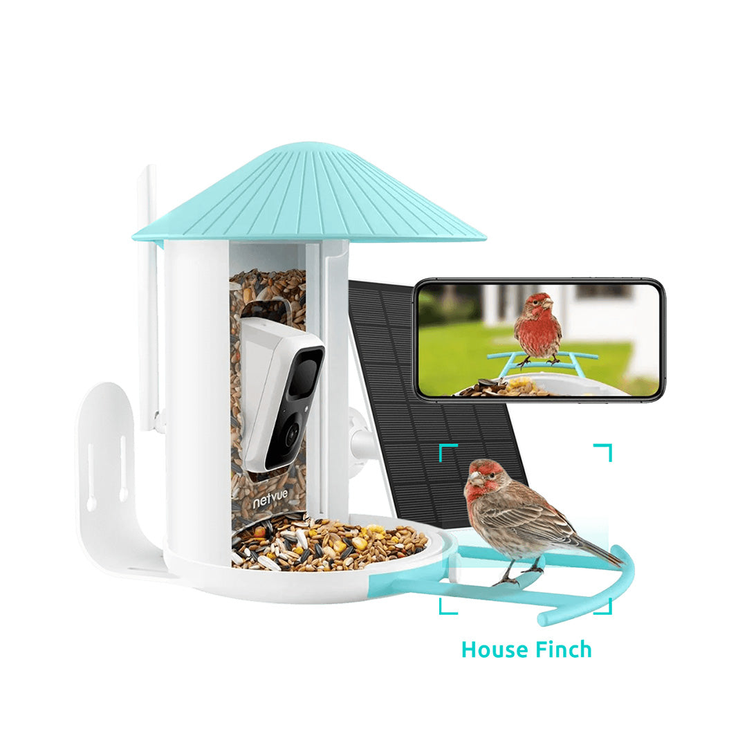 Netvue Birdfy Feeder with Solar Panel