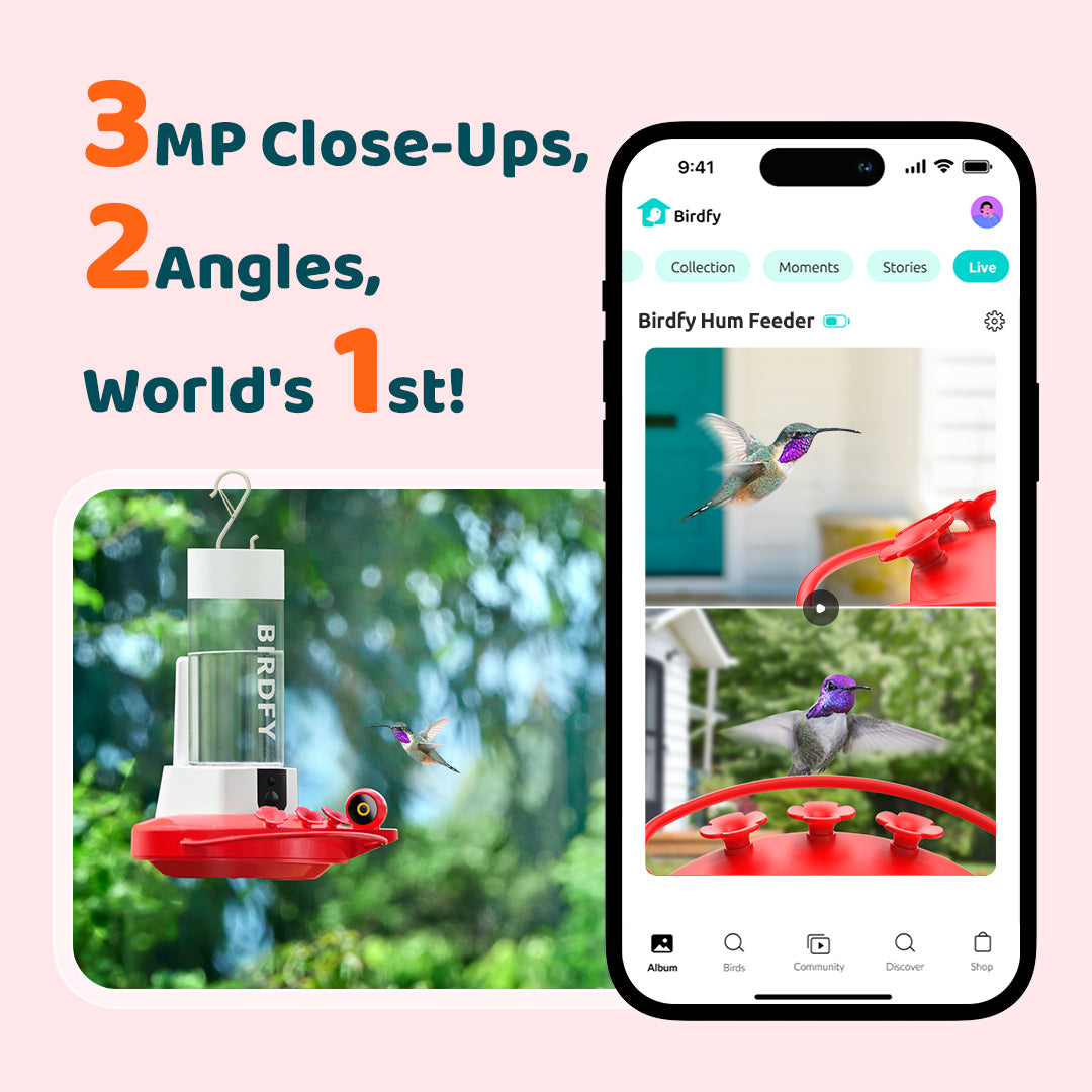 [Pre-order] Birdfy Hum Feeder - Dual-Camera Smart Feeder for Hummingbirds