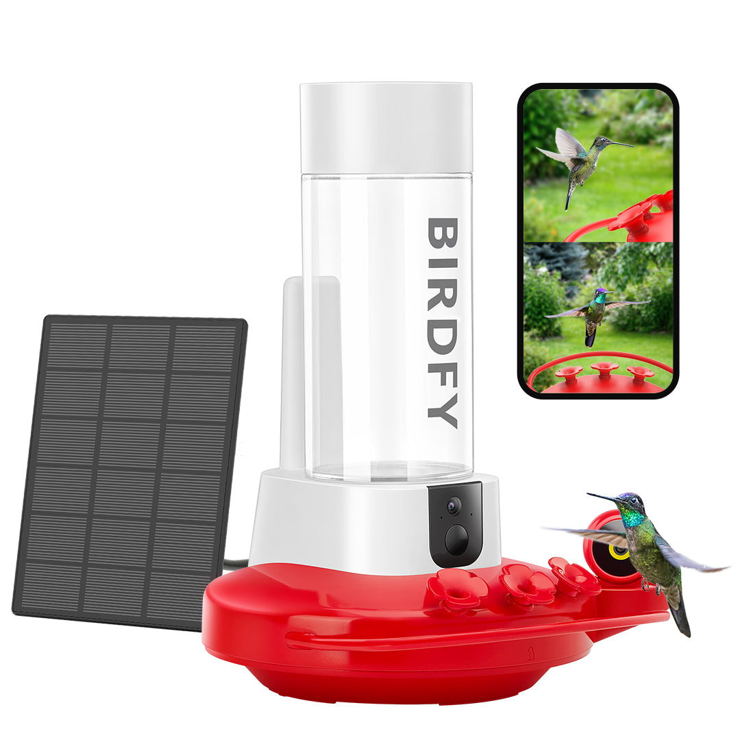 [Pre-order] Birdfy Hum Feeder - Dual-Camera Smart Feeder for Hummingbirds