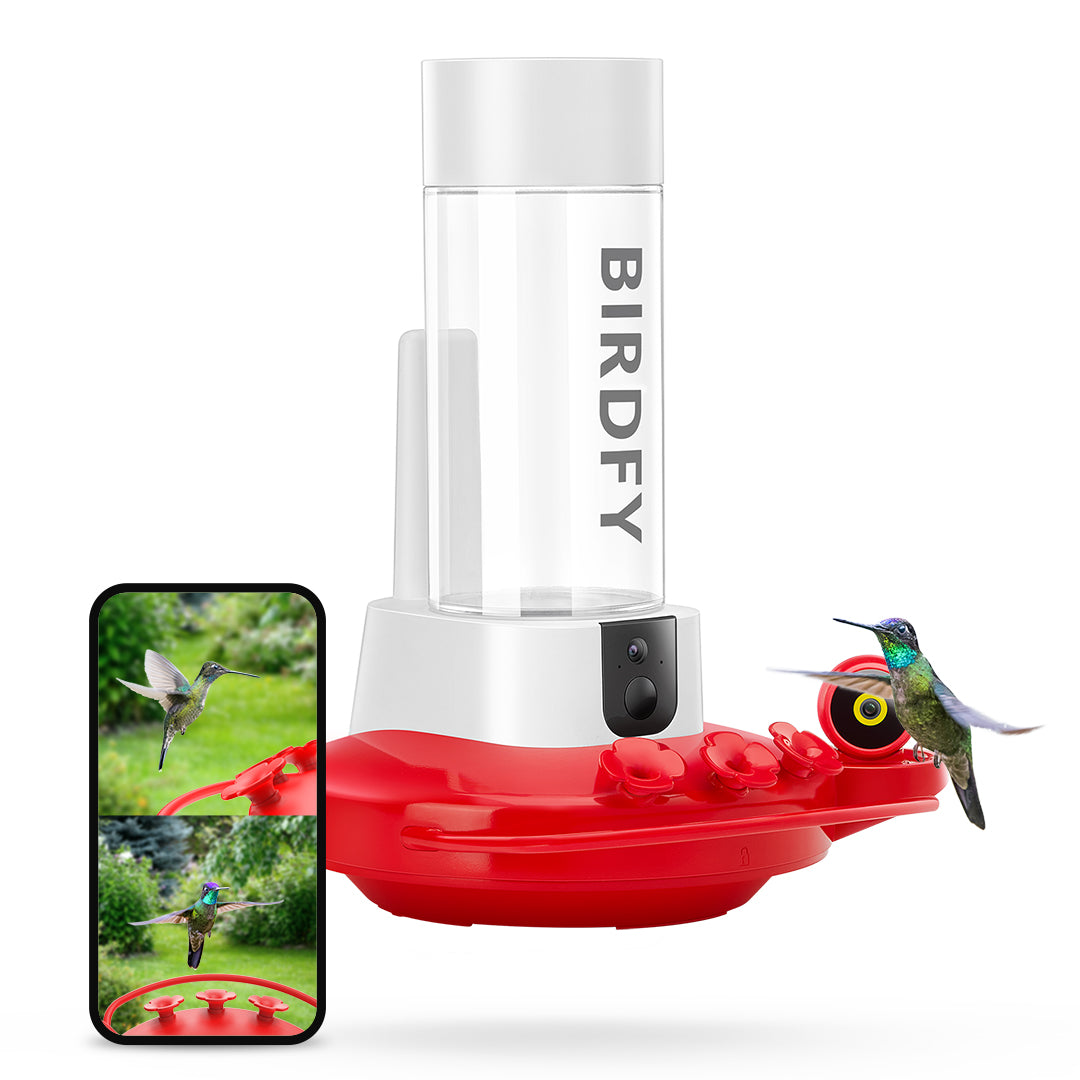 [Pre-order] Birdfy Hum Feeder - Dual-Camera Smart Feeder for Hummingbirds